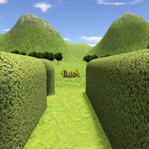 3D المتاهة