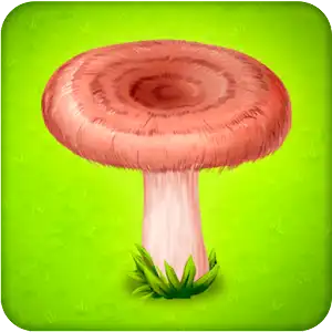 Forest Clans - Mushroom Farm